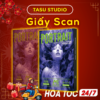 Giấy Scan PORTRAIT